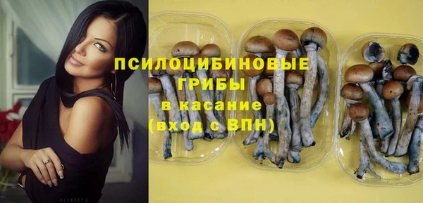 ALPHA PVP Арсеньев