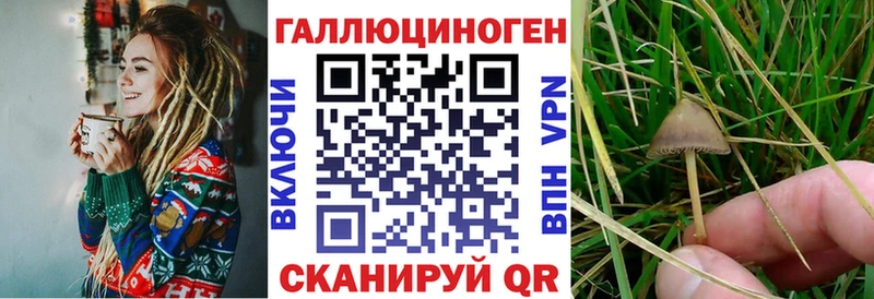 MEGA вход  Белая Холуница  Галлюциногенные грибы GOLDEN TEACHER 